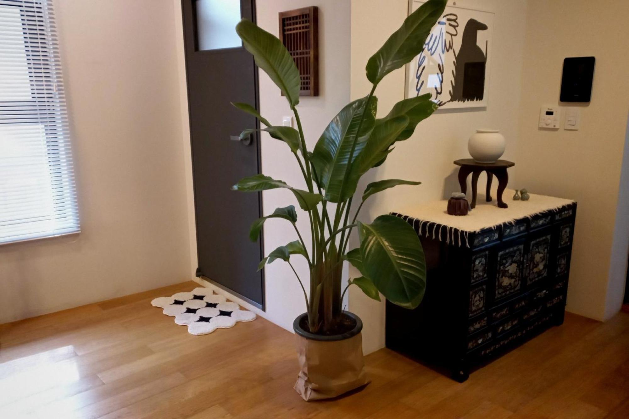 Korean Traditional Terrace House Сеул Экстерьер фото